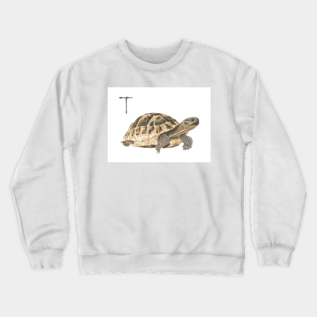 T for turtle alphabet illustration, pencil illustration from my alphabet series Crewneck Sweatshirt by DamiansART